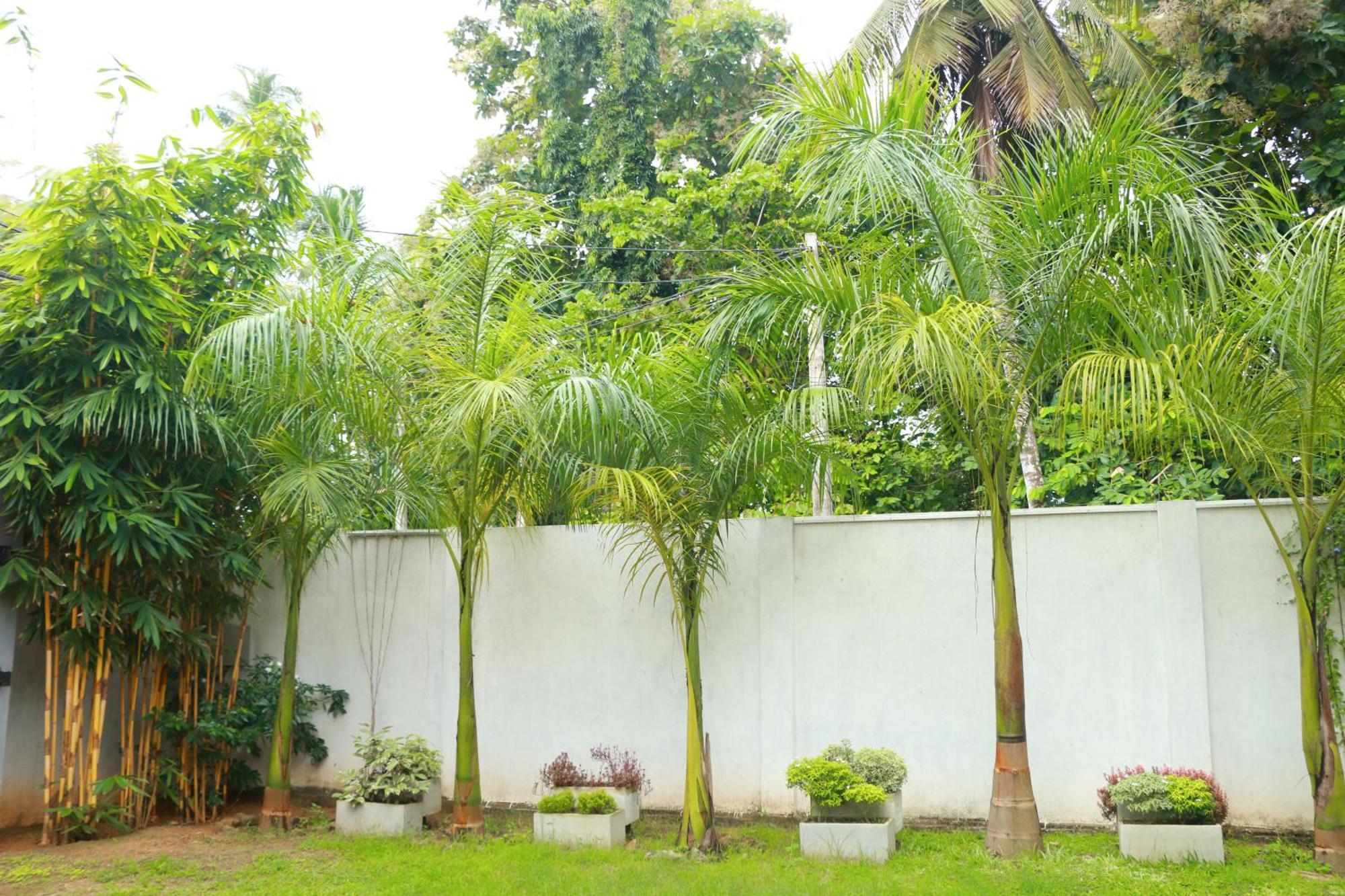 Venus Heaven Luxurious Villa Tangalle Buitenkant foto