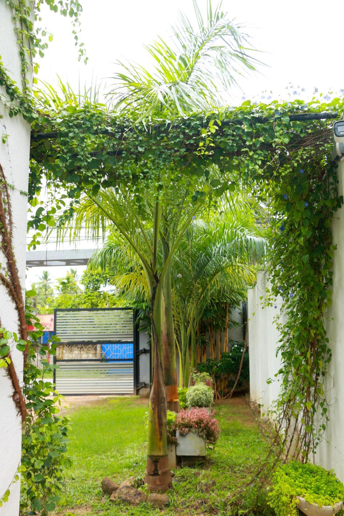Venus Heaven Luxurious Villa Tangalle Buitenkant foto